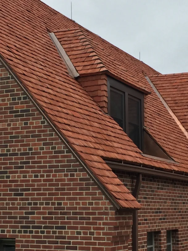 Terracotta roofscape